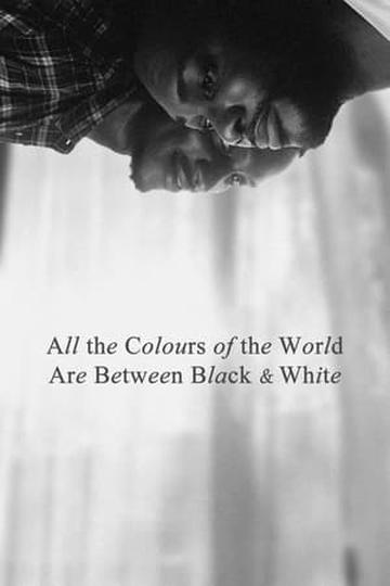 All the Colours of the World are Between Black and White