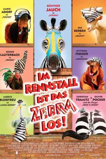 Im Rennstall ist das Zebra los!