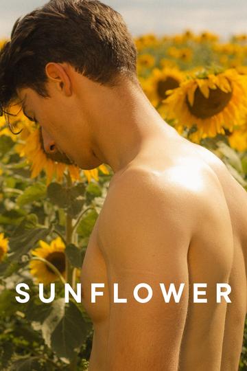 Poster Sunflower